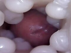 Gay Porn 2